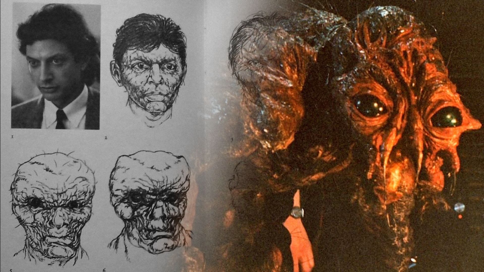 Fotografía del actor Jeff Goldblum y un monstruo en forma de mosca gigante
